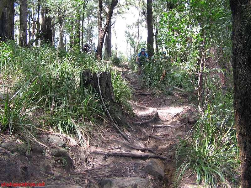 20080210-Bulli 053 